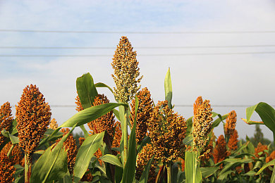 男生和女生一起差差APP｜差差互动，趣味交友新天地-1