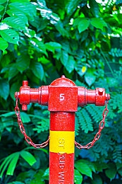 成人黄软件｜探索成人黄软件：沉浸式虚拟体验，争议与魅力并存-1