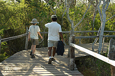 亭亭玉立国色天香综合症图片|美艳气质挑战,内外兼修之美梦之旅-2