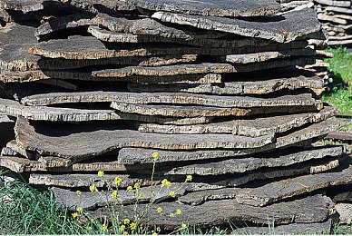 国产AV影视|成人影视产业渐变,文化与责任双向扩展-1