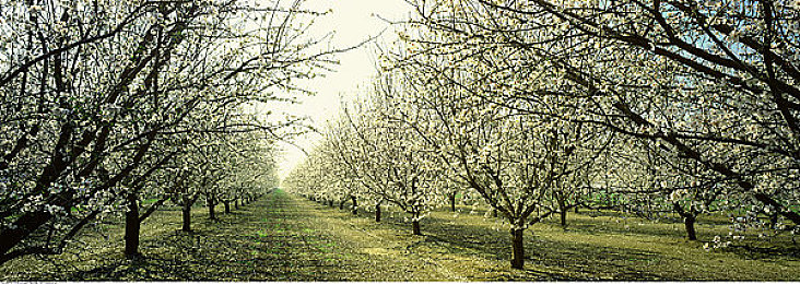 男人挺进雌性宠物交｜“情感寄托还是道德争议？揭秘“男人宠交”现象背后的社会思考”-1