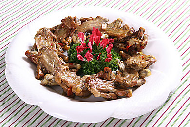 亲子伦XXXXX仙踪林｜自然乐园亲子共育，开启孩子成长新篇章