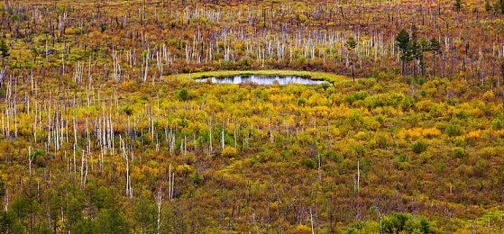 7月电子厂全景沟厕｜“沟渠之痛：揭秘电子厂环保困境，共筑绿色产业未来”-1