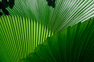 自由 性别 凸轮 管｜科技助力性别平等：创新“凸轮管”引领社会新风尚-1