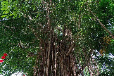 针 极端 疼痛 拳 重口｜痛感极限挑战，拳拳到肉欲罢不能的极致体验