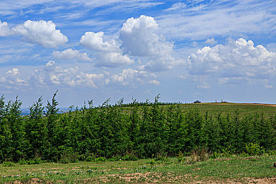 精品秘 无码一区二区三区｜个性化消费浪潮中的多元创新与挑战-1