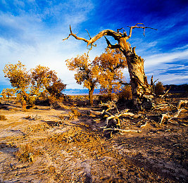 法国空姐2018｜空中丽影：法国空姐2018，揭秘航空梦工场-1
