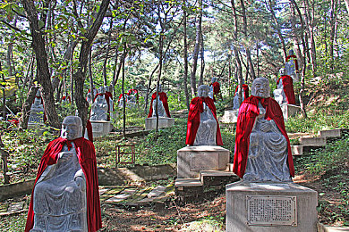 404款软件app入口｜“智能搜索助力应用市场：新应用“404款软件app入口”解决用户寻找难题，提升使用体验”