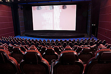 张柏芝殖器12图无码｜揭秘张柏芝无码谣言：警惕网络谣言，共建清朗网络环境-1