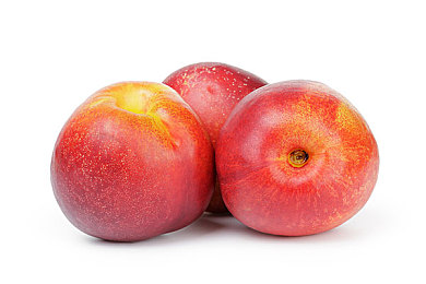 想要xx网站｜个性化定制网站兴起，引领互联网服务新潮流，用户需求驱动定制化服务热潮