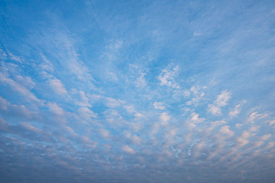 男同黄色｜网络男同色情现象：争议与反思，共筑清朗网络空间-1