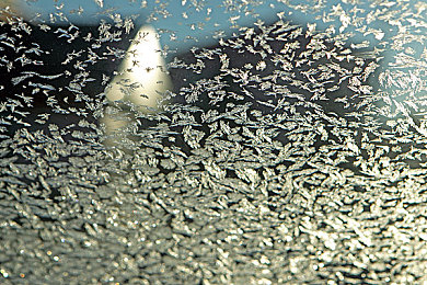 红豆2.0外桂|科技农业新纪元:红豆2.0外桂智慧种植之旅-1