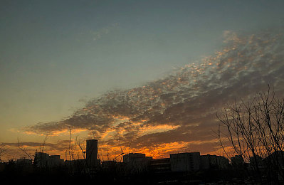 二人扑克运动视频免费下载软件｜免费下载软件助你捕捉二人扑克精彩瞬间，解锁牌桌上的视觉盛宴