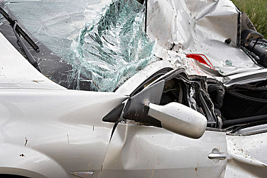 小小水蜜桃｜桃小王国：甜蜜种植，致富之路