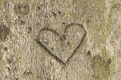 打扑克不盖被子软件｜智慧护眠，快乐扑克——守护游戏健康生活