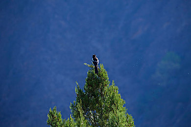 红柚直播|直播乐园,红柚助力,快乐启程-1