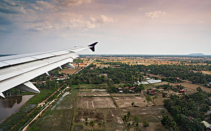 仙踪林company|绿色仙踪,健康生活新篇章-1