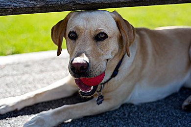 秀色直播APP｜秀色直播盛宴，互动畅玩新体验-2