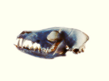 黄小婷被民工干成淫娃l｜网络谣言终结者：守护黄小婷的清白之声