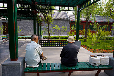 色秀直播|探索色秀直播魅力:游戏互动新天地,攻略技巧分享盛宴-1