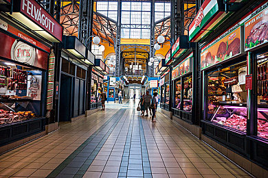 九九免费视频｜九九直播互动墙，畅享免费娱乐盛宴-1