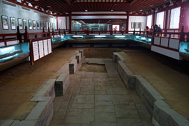 91抖音免费｜抖音推出“91抖音免费”活动：免费享受海量内容，短视频市场再掀热潮-2