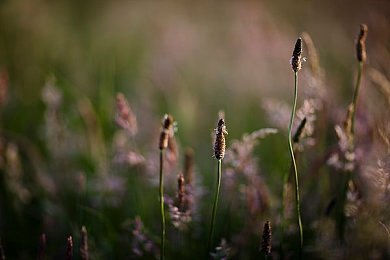 亚洲gv｜洞察亚洲市场潜力：揭秘‘亚洲GV’，教你如何高效提升业务表现