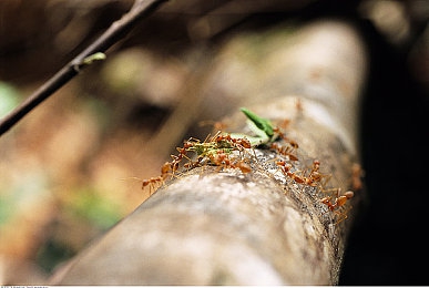 男男跪床  被 网站｜情感共鸣，男男跪床：心灵港湾的故事乐园-1