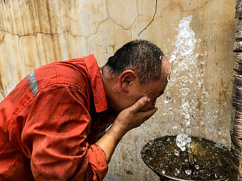 毛茸茸的大泬特写｜“西南秘境邂逅神秘毛茸大泬，生态保护呼唤共同守护”-1