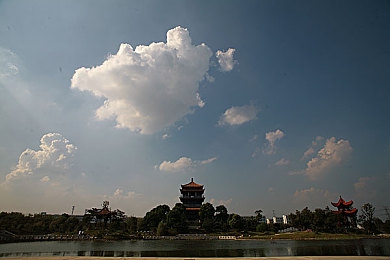 一个人www.｜互联网浪潮中的奇迹独舞：梦想铸就，世界见证-1