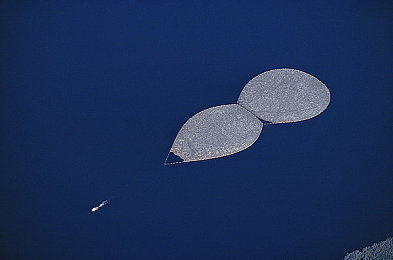 黄色软件app3.03|神秘冒险解谜之旅:挑战智慧,探索《黄色软件app3.03》奇幻世界-1