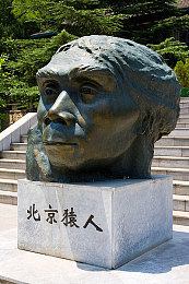 生物老师用自己做繁衍例子｜繁衍奇遇：课堂趣学之旅