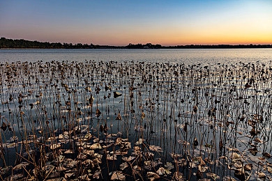 404黄台禁用|揭开网络迷雾,守护清朗空间——共筑绿色游戏家园-1
