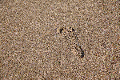白丝校 脱白丝让我c真人｜大学生不当言论引发热议：网络自由边界何在？白丝校事件警示公众-2
