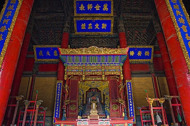 樱花直播｜樱花飘舞，情感交织的直播盛宴