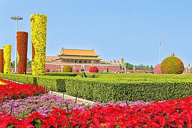 浪货今天就把你 到服为止作文|高效写作助手:速成佳作,一“服”到位-1