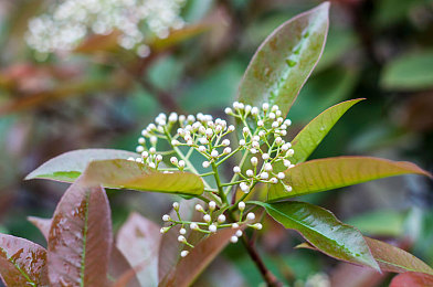 秘 男生互摸jiji秘 免费网站|网络迷雾散去,守护青春净土-2
