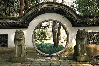 美女不穿衣服软件|网络丑态横生,监管挑战重重:揭秘“美女不穿衣服软件”事件-1