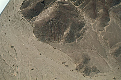 B站刺激战场视频直播｜电竞战场魅力绽放，B站刺激直播盛宴