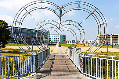 lisaann大战一群黑人｜“冲突背后：文化碰撞下的种族歧视反思，共建和谐社会的路径探索”-2