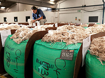 娜维娅大战史莱姆隐藏网站|探索“娜维娅大战史莱姆”神秘隐藏网站:揭秘全球热门游戏背后的奥秘与影响-1