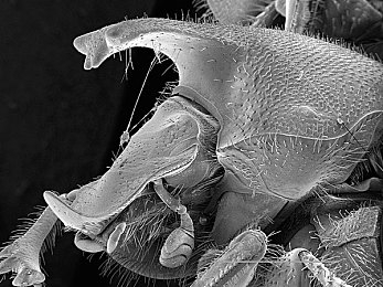 打扑克视频软件｜扑克直播盛宴，互动交友新天地