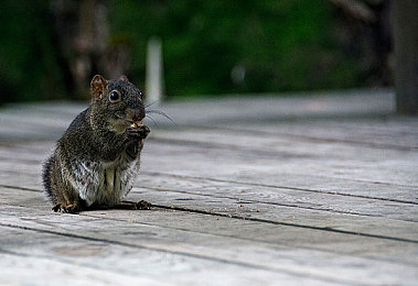 年轻帅气小伙GAY1069｜网络新星GAY1069：梦想之旅，正能量传播者-1