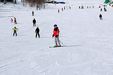 五月直播｜五月直播盛宴：视听盛宴，活力五月-1