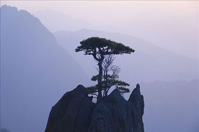 免费网站 禁app｜净化网络，畅游安全：禁app新规下的游戏盛宴