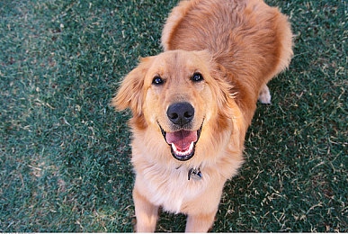 迪丽热巴操逼|网络时代的道德考验与言论责任-1