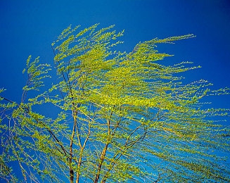 成人免费视频｜成人内容探秘之旅，海量资源随心享-3