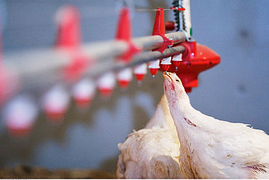 成品短视频app软件网站｜短视频时代：平台助力内容创作，引领生活变革