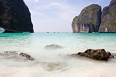 邪恶木|神秘“邪恶木”蔓延多地,环保危机亟待全球携手应对-1