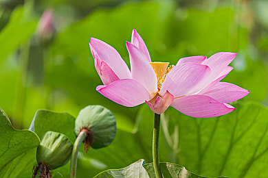 春暖花开 回家入口｜春意盎然，门铃传温馨，智能守护家-2